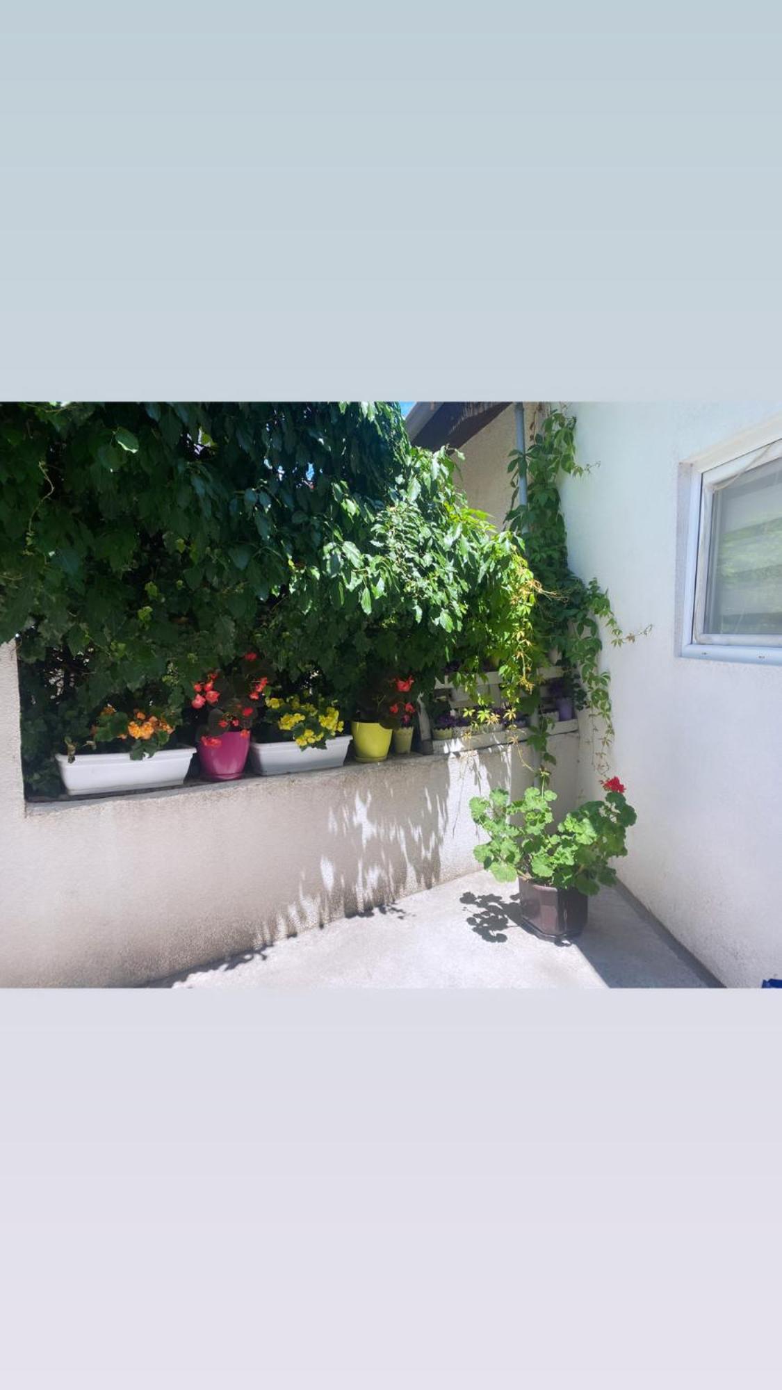 Galeb Apartment Ohrid Luaran gambar